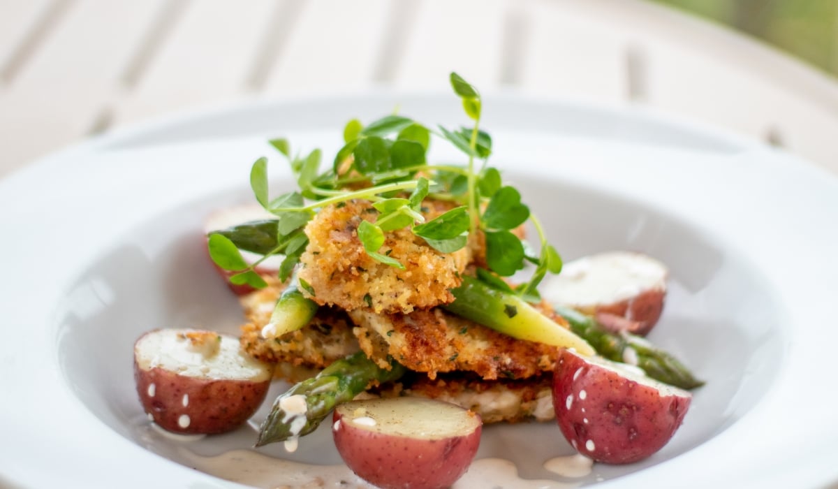 fancy chicken and potato dish