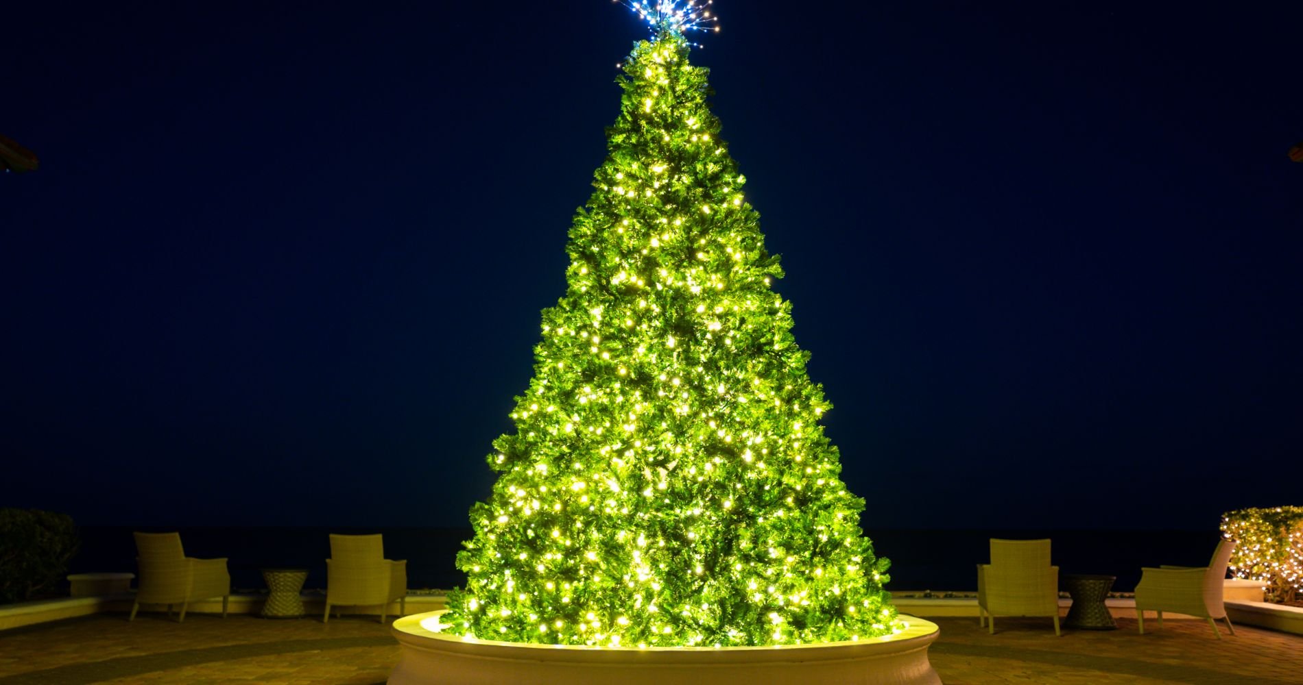 Lodge Oceanfront Christmas Tree